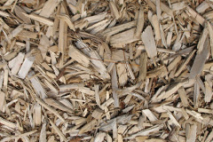 biomass boilers Penmaenan